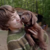 Netflix muestra el primer avance de ‘Scooby-Doo: El Origen’ y presenta al icónico perro en acción real. Foto: Netflix